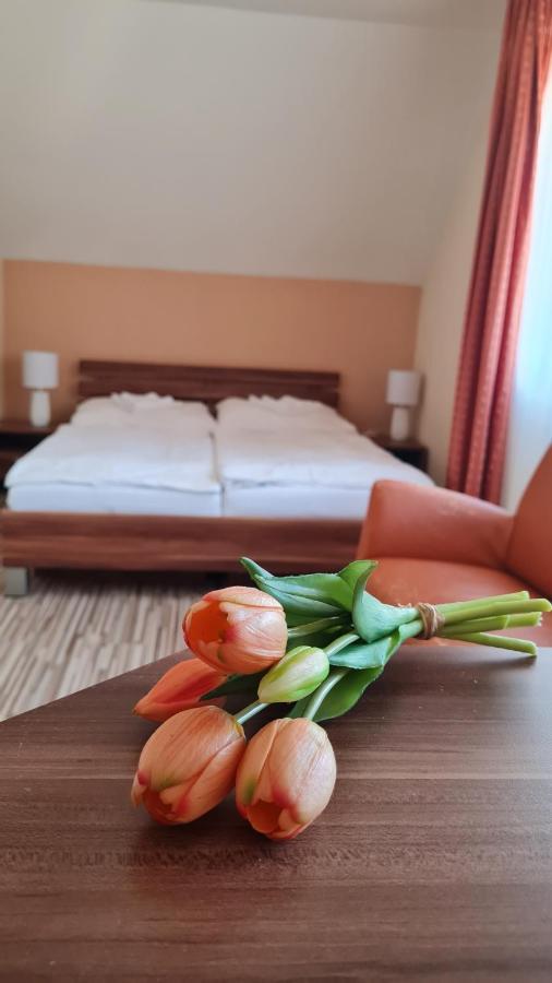 Hotel Sipox Csorba Kültér fotó